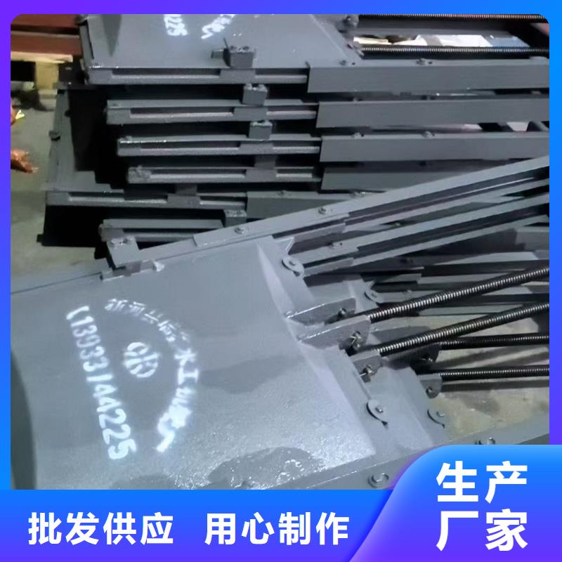 铸铁镶铜闸门-水道闸门技术领先