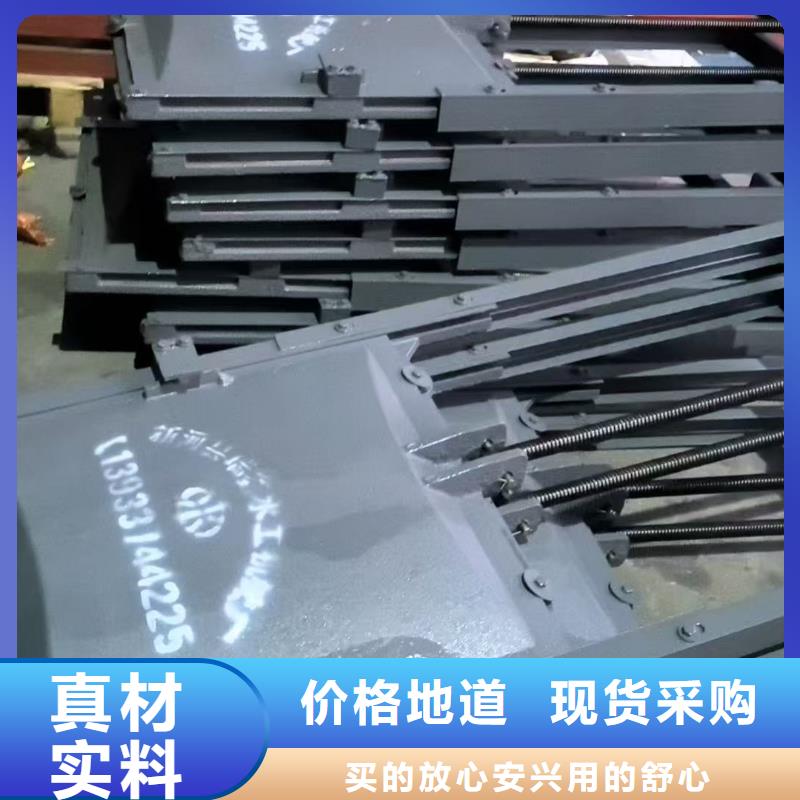 武昌区排灌渠铸铁闸门按需定制