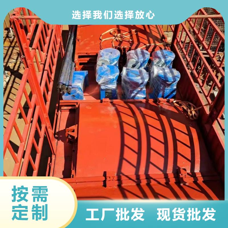 渠道闸门-闸门与启闭机实力雄厚