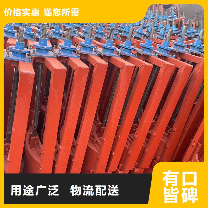 河道铸铁闸门-河灌区闸门快速响应