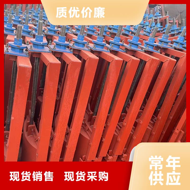 建瓯市河道铸铁闸门