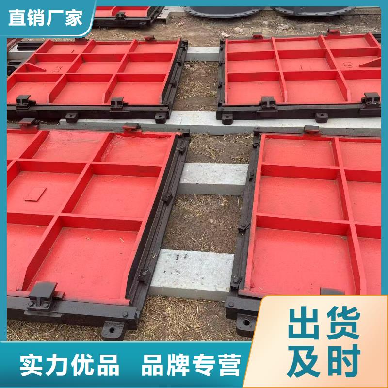 双止水铸铁滑动闸门