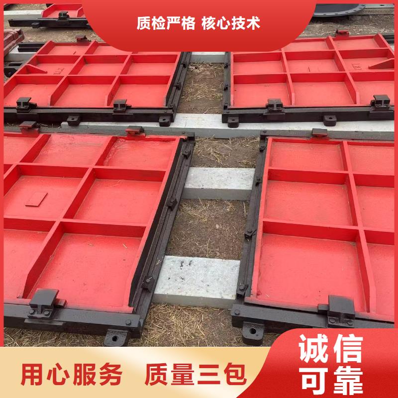 机门一体铸铁闸门[厂家价格]