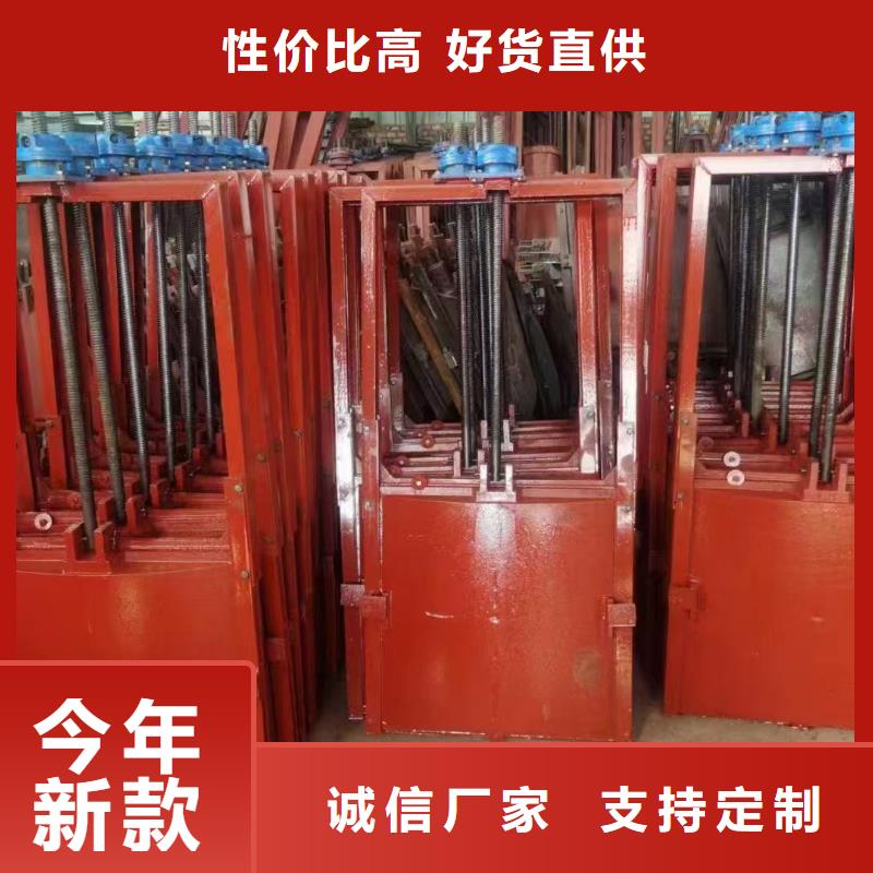 启闭机闸门厂家品质可靠