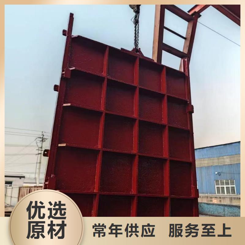 平面拱形闸门-手动启闭机闸门一站式