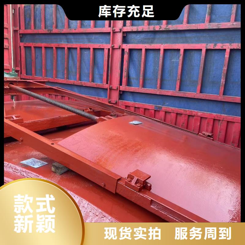 铸铁闸门及启闭机