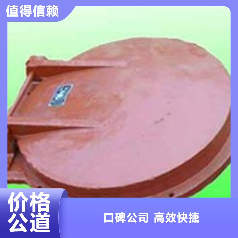 实力雄厚的圆拍门生产厂家