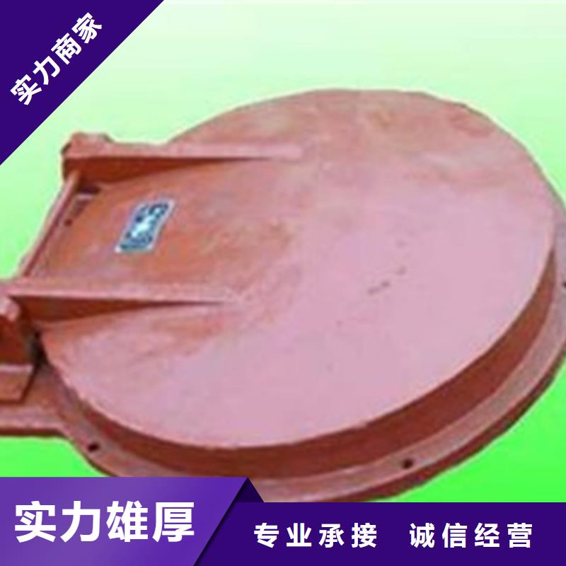实力雄厚的防倒灌雨水排污泵站DN1000铸铁拍门供货商