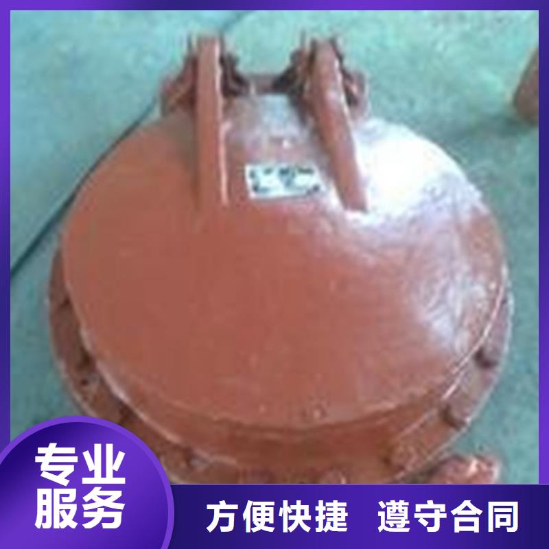 钢制闸门拍门货真价实