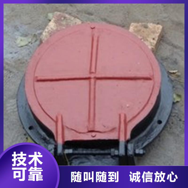 排水管道铸铁圆拍门