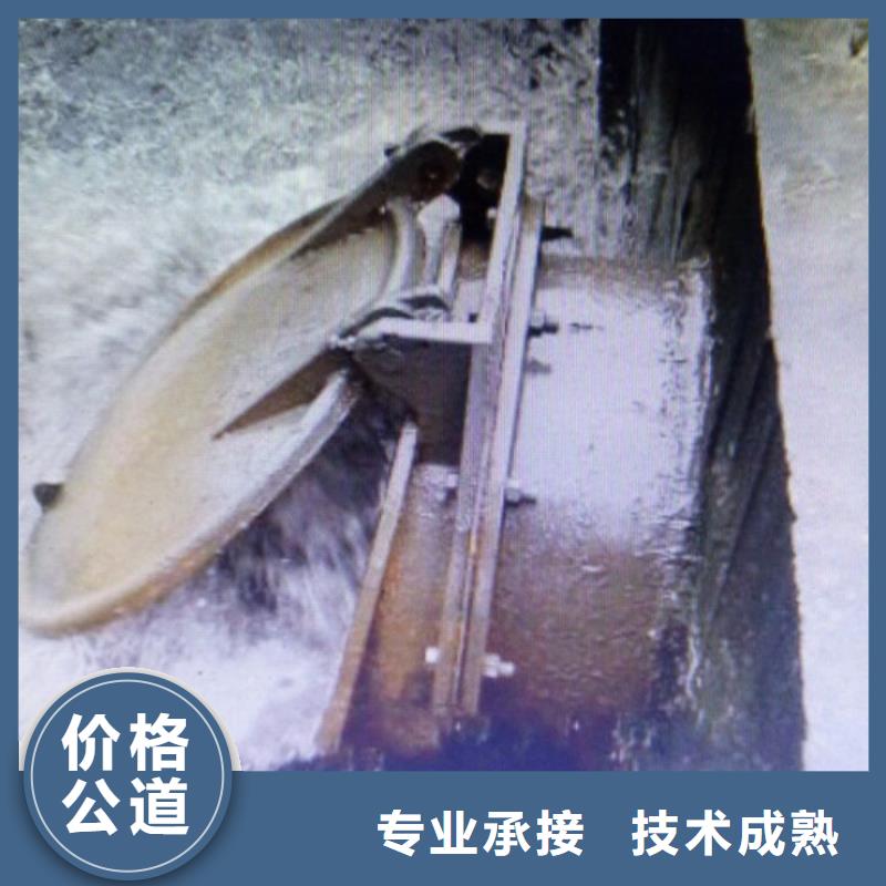 大规模侧翻式单开拍门厂家