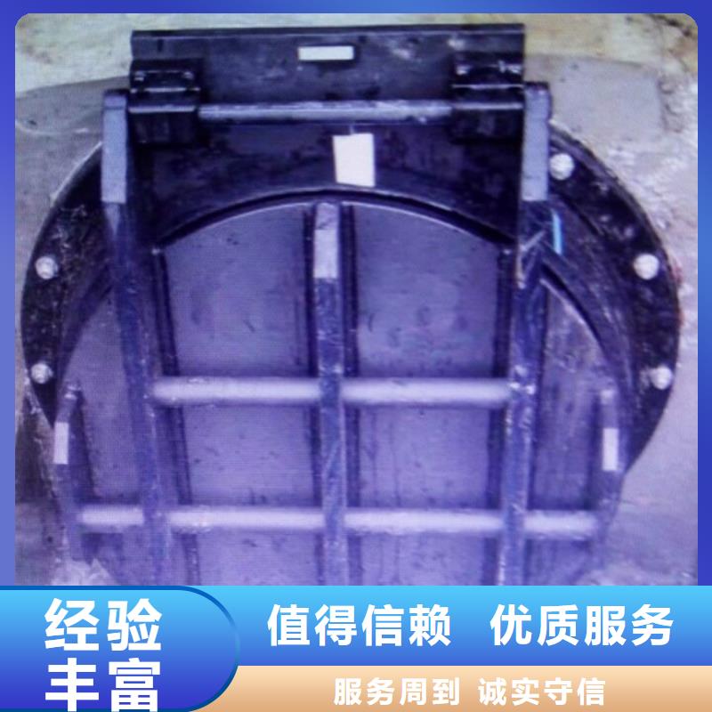 钢制拍门以诚为本欢迎咨询