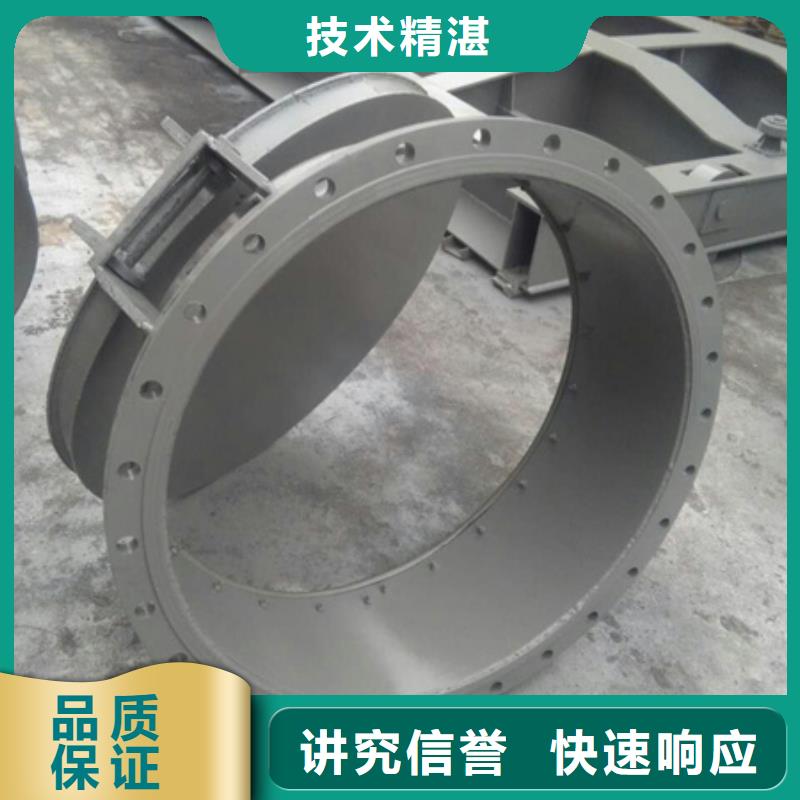 专业销售不锈钢拍门-保质