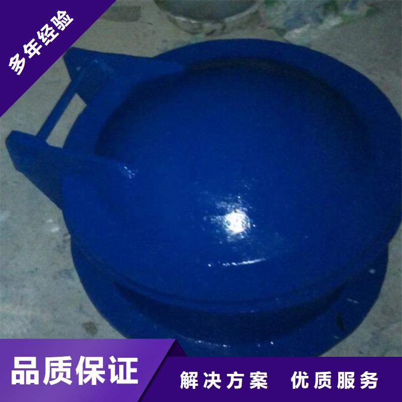 质量好的钢制拍门		厂家