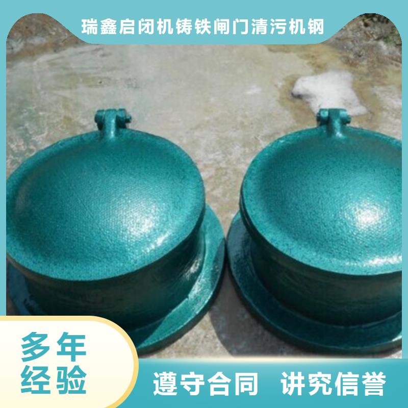 节能型单开式拍门厂家直售
