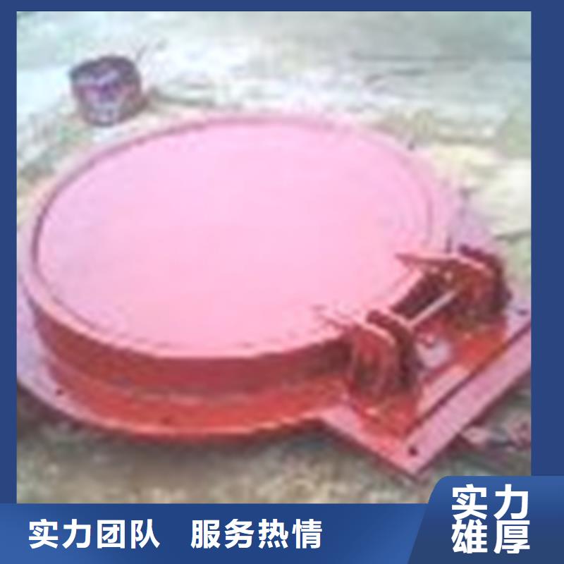 双侧翻拍门钢拍门