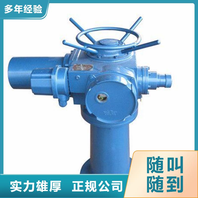 10T手电两用启闭机市场价
