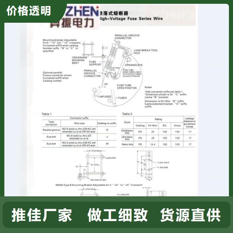 高压熔断器RW12-12F/100A