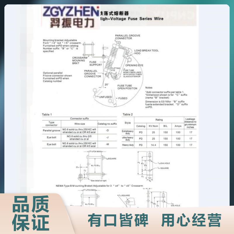 高压熔断器/RW5-35/100A
