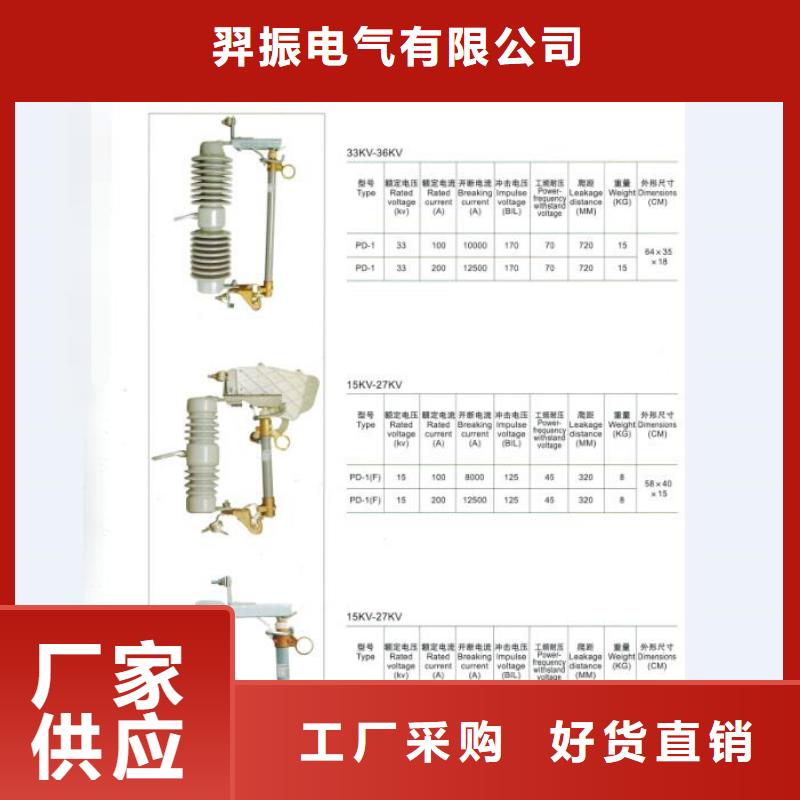 户外高压跌落式熔断器熔丝具RW12-10/200A