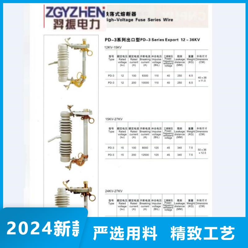 每日：高压熔断器/PRW9-12/100-6.3