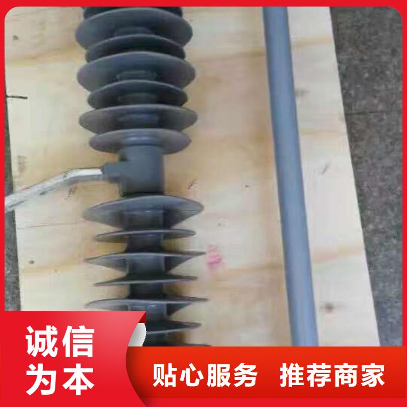 高压熔断器HRW12-15KV/100A