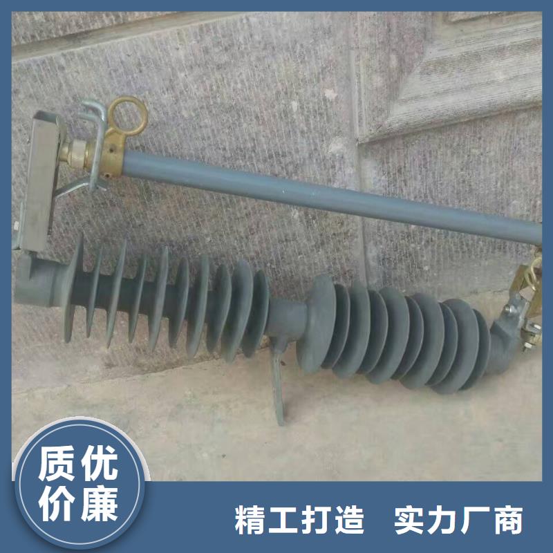 【跌落式熔断器】RW12-10F/100A浙江羿振电气有限公司