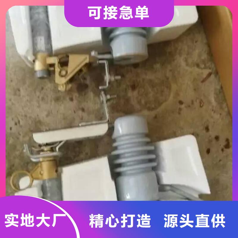 -户外高压交流跌落式熔断器PRW12-10KV/100