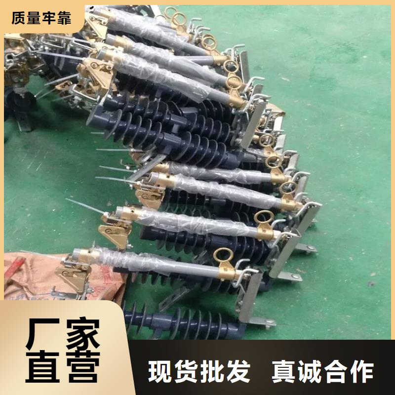 HY10W1-216/562W【浙江羿振电气有限公司】