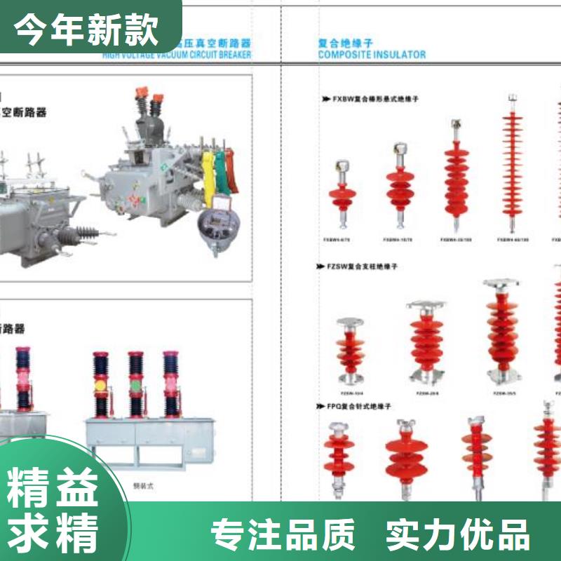 FLRN36-12D/T125-50六氟化硫负荷开关