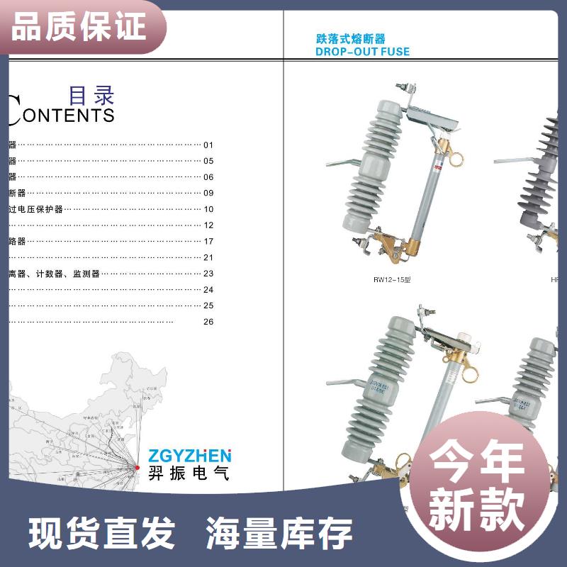 互感器LFS-10100/5B级【浙江羿振电气有限公司】