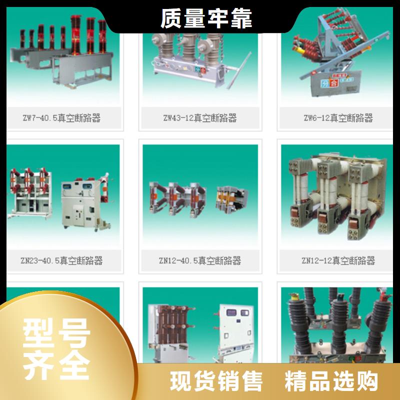 -高压熔断器-HRW12-10/100