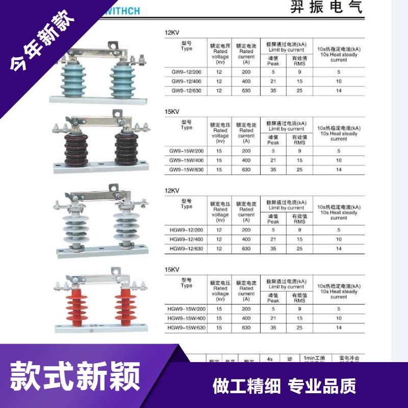 高压熔断器-RW36-35KV-RW36-35KV/200A