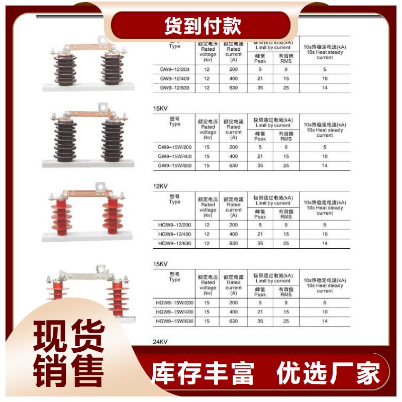 高压熔断器-PRWG1-10F/100A