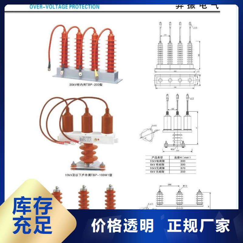 高压熔断器-RW36-35KV-RW36-35KV/200A