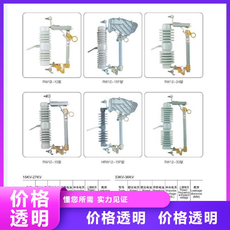 〖〗FN25-12D/T200-31.5,FN25-10D/T200-31.5