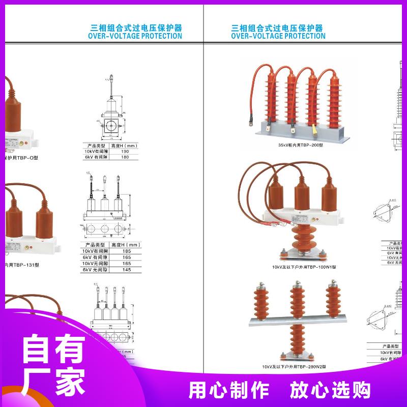 高压熔断器-PRW10-10/100A-PRW10-10/200A