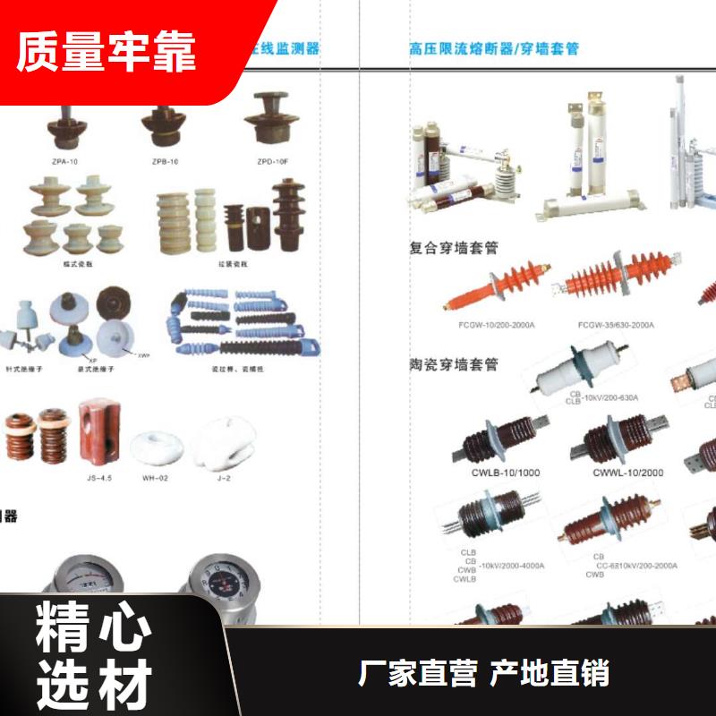 户外柱上高压真空负荷开关FFK-12/T630-12.5