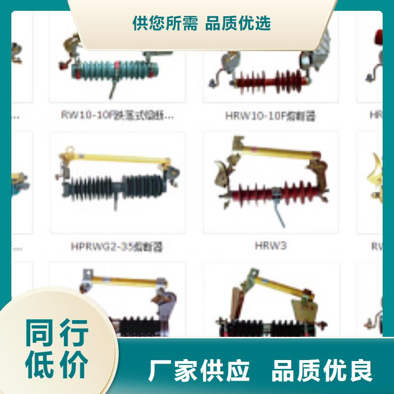 FLRN36-12D/T125-50六氟化硫负荷开关