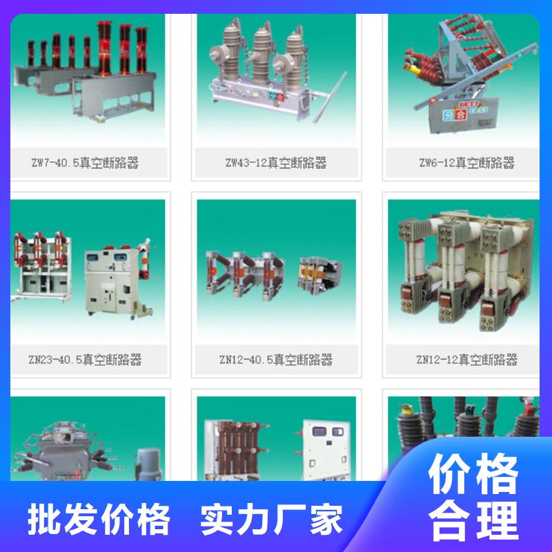FLRN36-12D/T125-50六氟化硫负荷开关