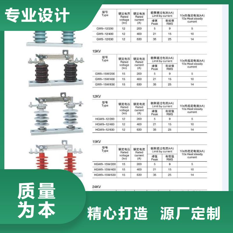 防雷绝缘子耐张线夹串FGNC10-50/95XD
