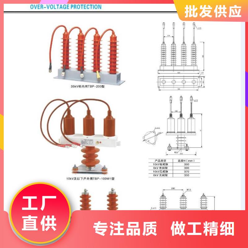 -高压熔断器-HRW12-10/100