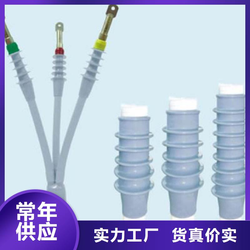 户内冷缩电缆终端头10KVLSN-1/4