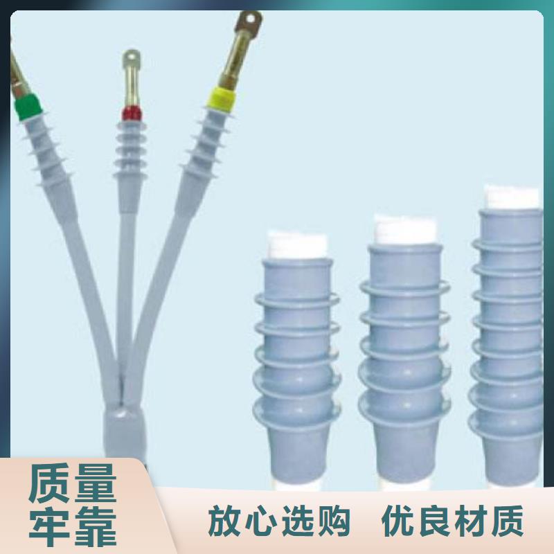 10KVWLN-1/3冷缩电缆终端头