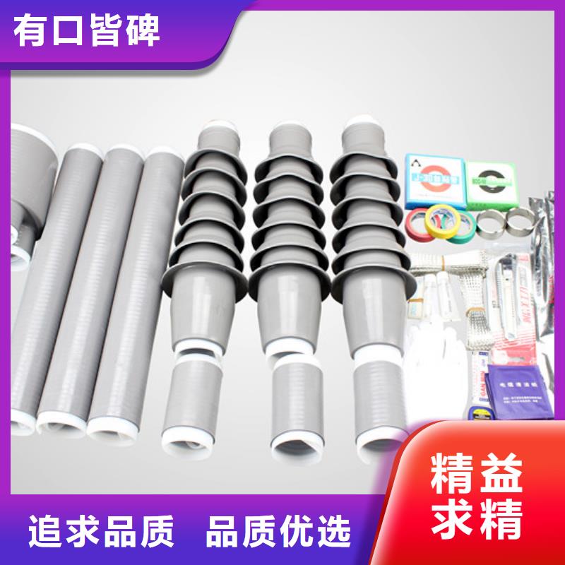 户内热缩电缆终端头NSY-10/3.1