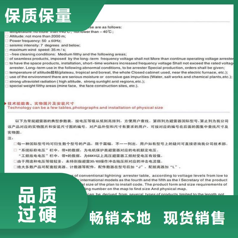 避雷器Y1.5W-207/440W【羿振电气】