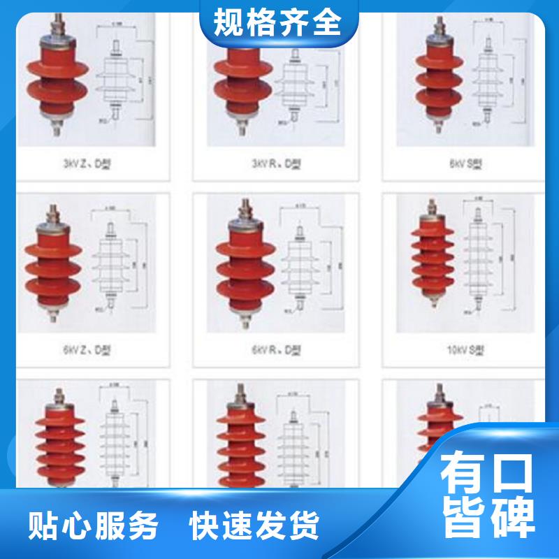 【避雷器】YH5WR5-48/134【浙江羿振电气有限公司】