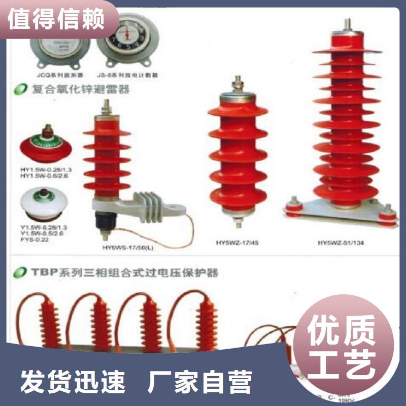 避雷器Y10W1-108/268GW