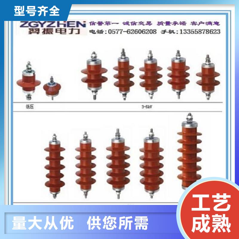避雷器Y10W-216/562上海羿振电力设备有限公司