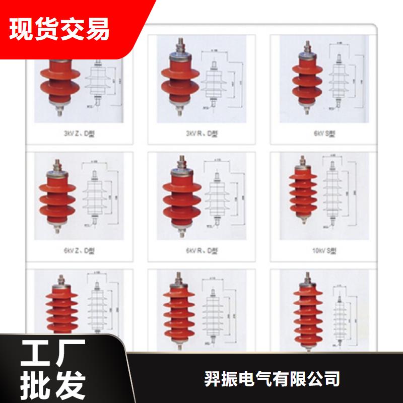 避雷器Y10W5-51/134【羿振电气】